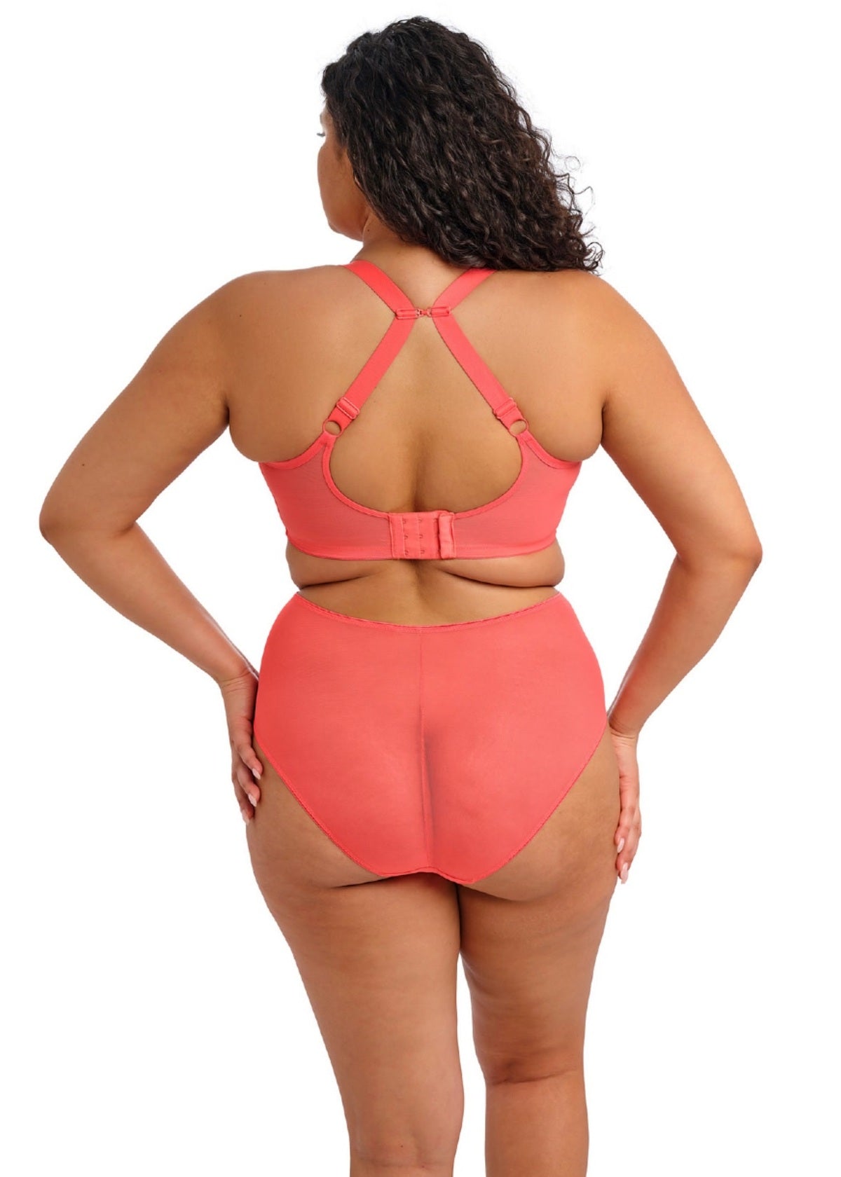 elomi Matilda Sunset Plunge Bra