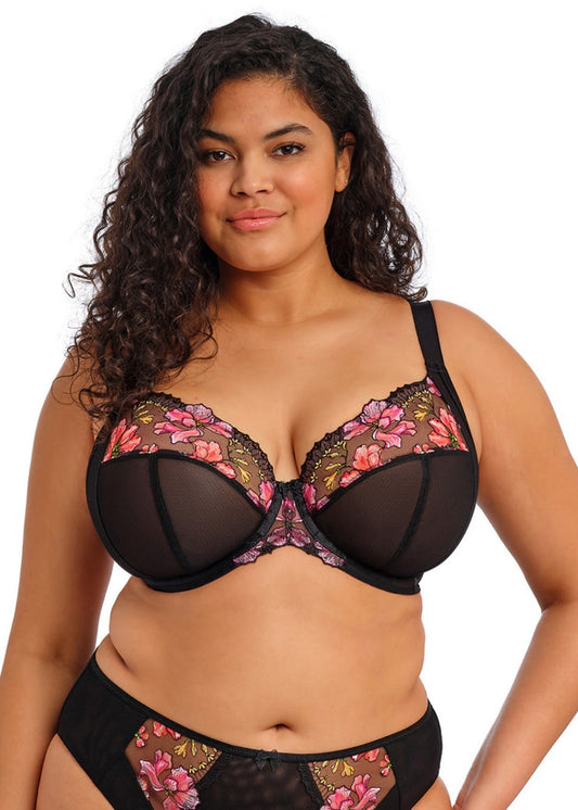 elomi Teagan Rainbow Plunge Bra