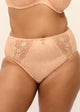 Cameo Rose