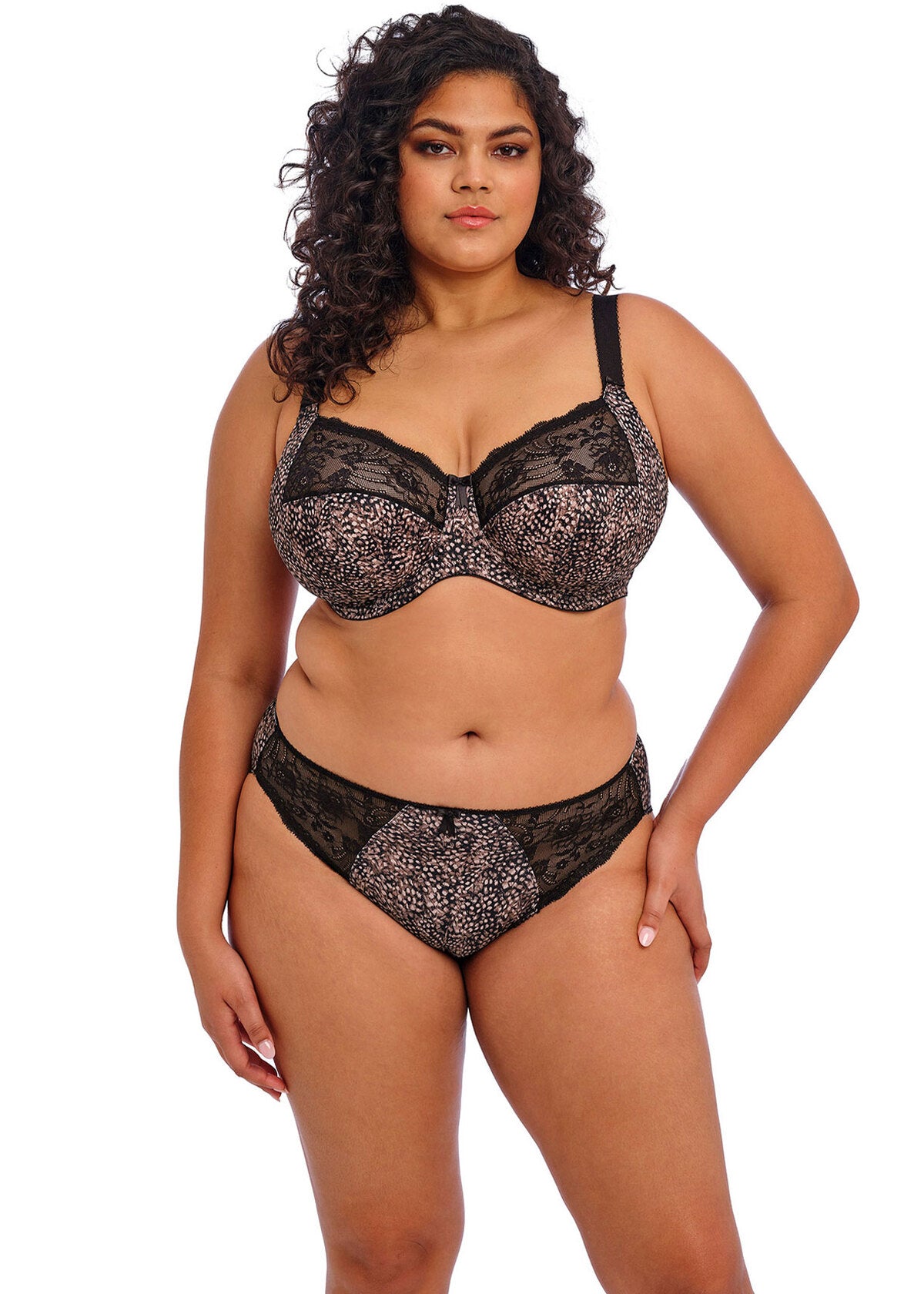 elomi Morgan Ebony Brief