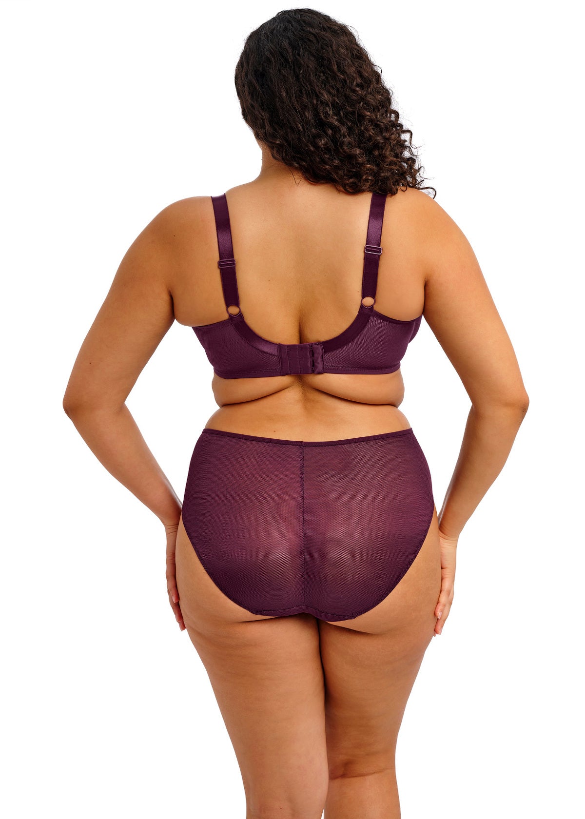 elomi Kintai Blackberry Full Brief