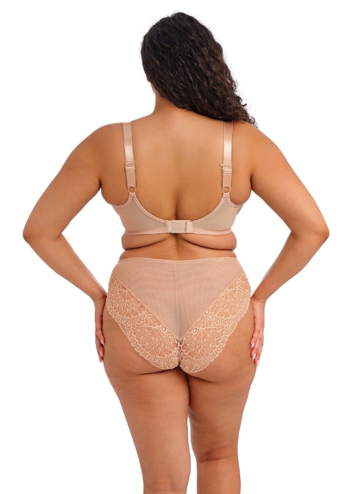 elomi Tiernie Sahara Brief