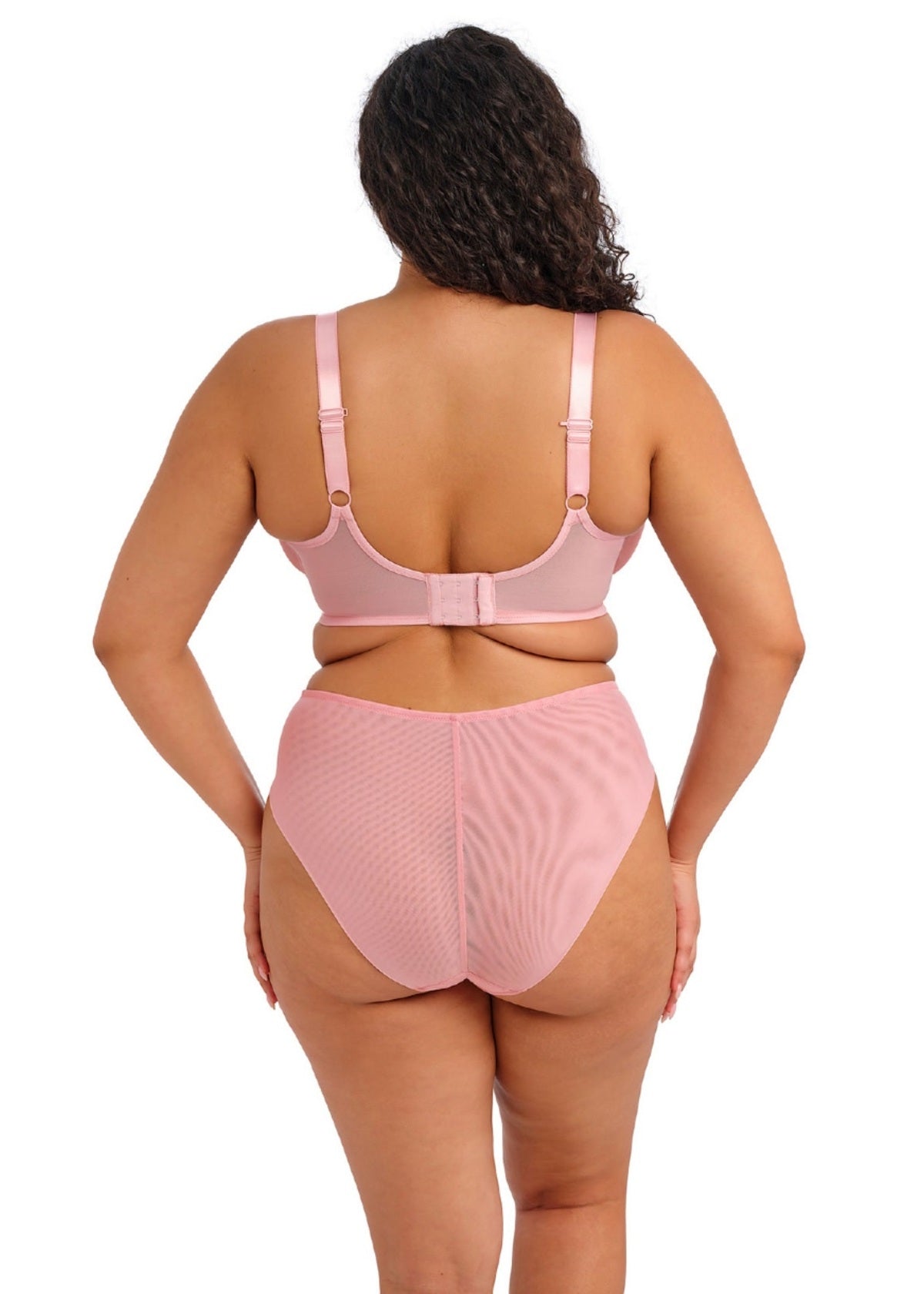 elomi Aerith Rose Brief