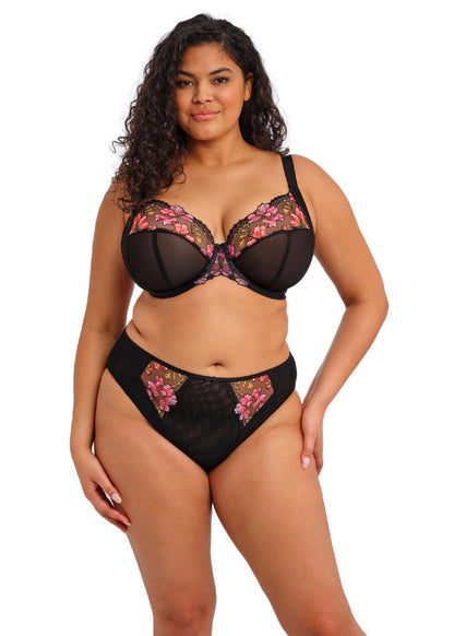 elomi Teagan Rainbow High Leg Brief